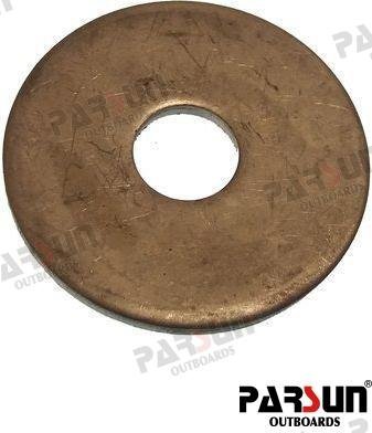 ARANDELA Parsun PAE10-01010007