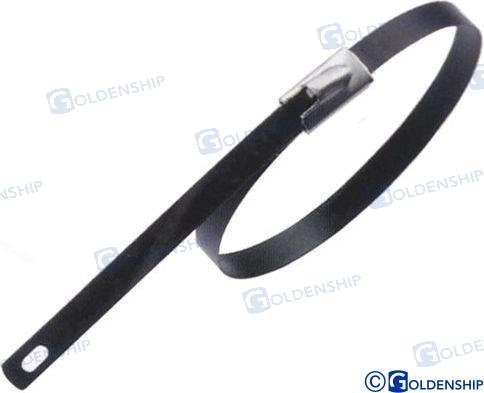 ABRAZADERA INOX 200X4