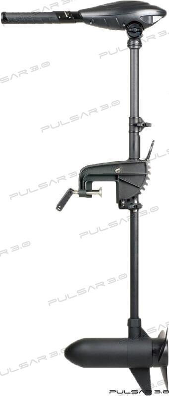 MOTOR ELECTRICO HASWING 1