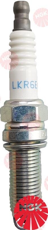 BUJIA NGK LMAR6C-9 NGK NGKLMAR6C-9