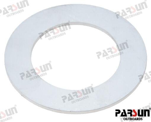 ARANDELA Parsun PAF115-01000001