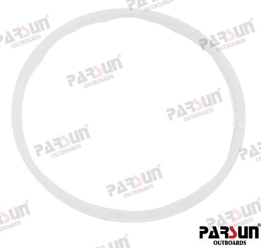 ARANDELA Parsun PAF115-01000004