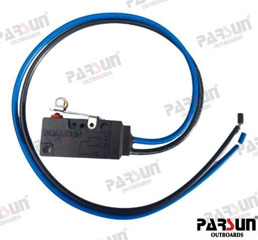MICRO INTERRUPTOR Parsun PAF115-01030500