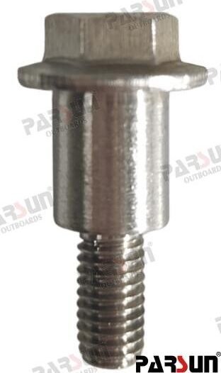 TORNILLO Parsun PAF115-02010006