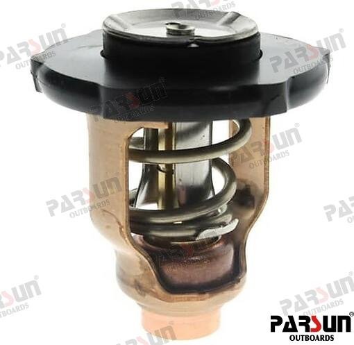 TERMOSTATO Parsun PAF115-05000032
