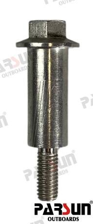 TORNILLO Parsun PAF115-05000034