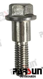 TORNILLO Parsun PAF115-05000043