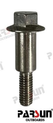 TORNILLO Parsun PAF115-05000085
