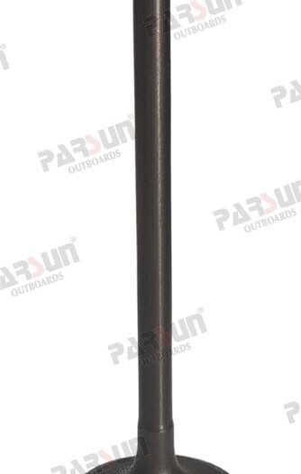 VALVULA ADMISION Parsun PAF115-05030001