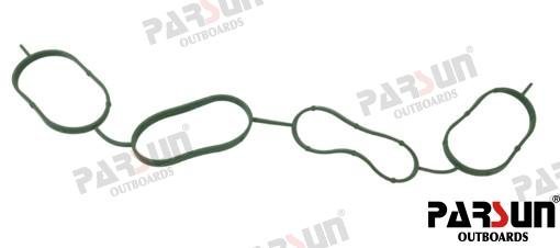JUNTA COLECTOR Parsun PAF115-05060002