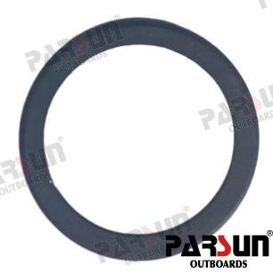 ANILLO PROTECTOR RELE Parsun PAF115-05070008