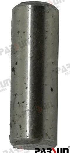 PIN Parsun PAF15-0000013