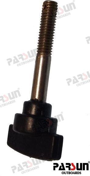 TORNILLO Parsun PAF15-01030200