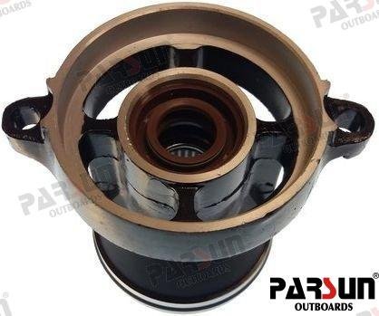 FUNDA INFERIOR COMPLETA Parsun PAF15-06080000