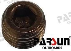TAPÓN 1/4" - 18NPT Parsun PAF15-07010005