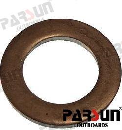 WASHER Parsun PAF15-07040017