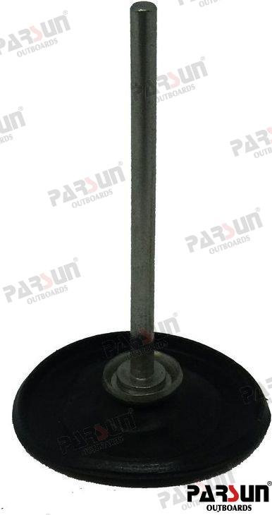 SEPTUM ASSY. Parsun PAF15-07090407