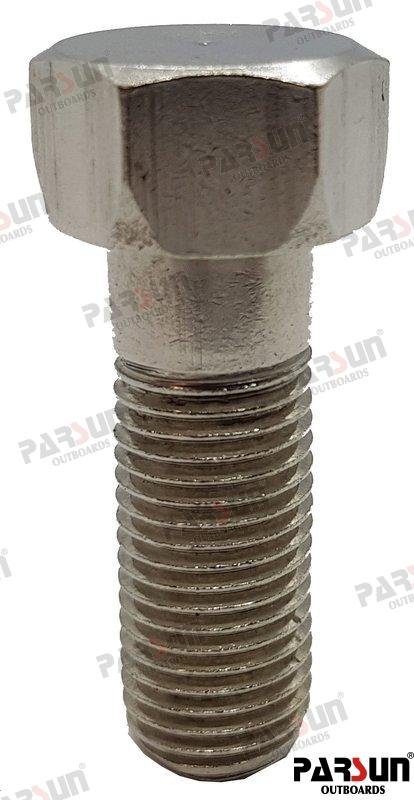 TORNILLO Parsun PAF15-11020002W