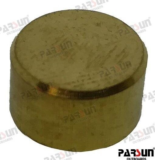 POLEA Parsun PAF15-13000004W