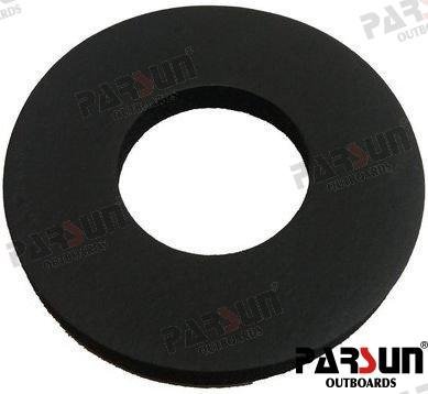 ARANDELA Parsun PAF2.6-04000033