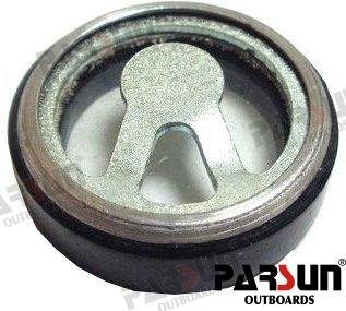 INDICADOR NIVEL Parsun PAF2.6-04010102