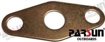 PLACA Parsun PAF20-02000004