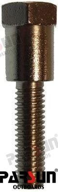 TORNILLO Parsun PAF20-05000004