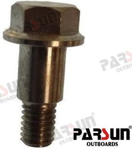 TORNILLO SILENCIADOR ADMISIÓN Parsun PAF20-05000012