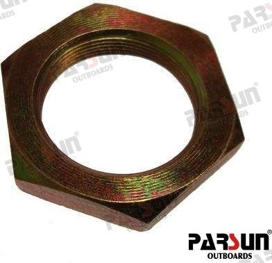 TUERCA Parsun PAF20-05000029
