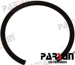 CIRCUITO Parsun PAF20-05020002