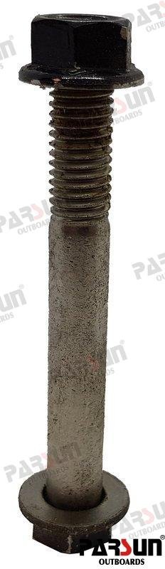 TORNILLO M10X80 Parsun PAF25-00000007