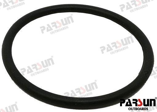 TÓRICA Parsun PAF25-01000005