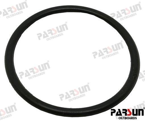 TÓRICA Parsun PAF25-01000005L