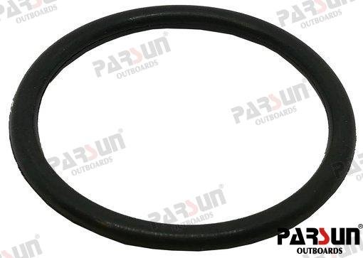 TÓRICA Parsun PAF25-01000005S
