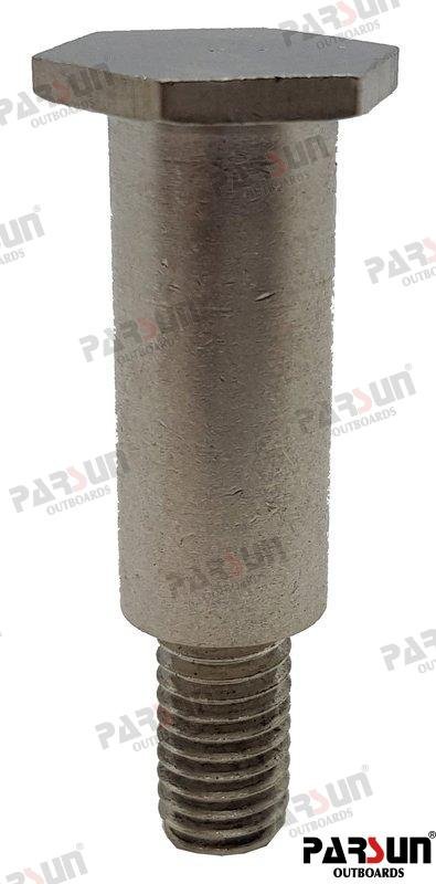TORNILLO Parsun PAF25-01010007