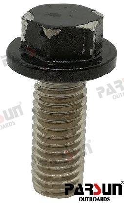 TORNILLO HEXAGONAL M8X20 Parsun PAF25-01010303