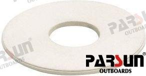 ARANDELA NYLON Parsun PAF25-02000019