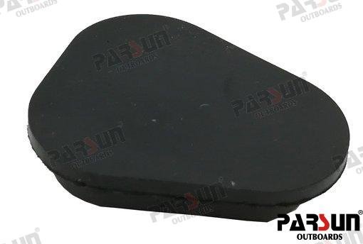 JAM ACCELEROGRAPH CABLE Parsun PAF25-03000025W