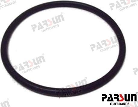 RETÉN Parsun PAF25-04050003