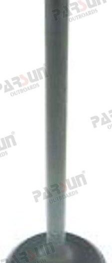 VÁLVULA ADMISIÓN Parsun PAF25-05050001
