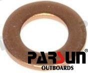 GASKET Parsun PAF25-05050007
