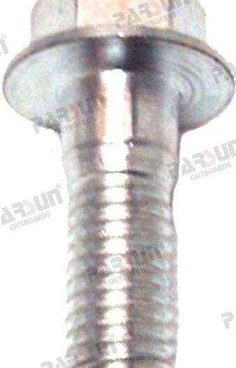 TORNILLO Parsun PAF25-05050019