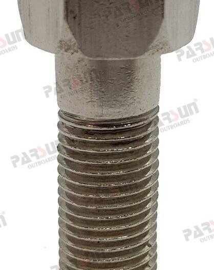 TORNILLO Parsun PAF25-07000302W