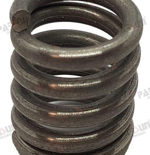 MUELLE Parsun PAF4-01090007