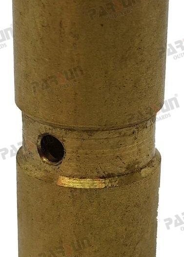 BUJE DEL EJE Parsun PAF4-02000002