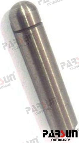 ÉMBOLO Parsun PAF4-03000008