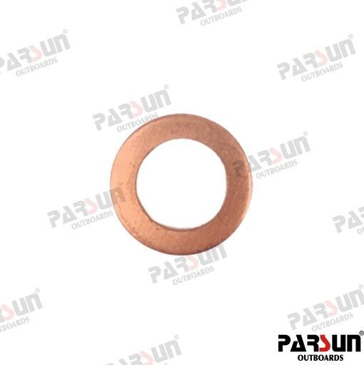 ARANDELA Parsun PAF4-04000006