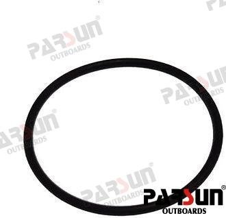 TÓRICA Parsun PAF4-04060002