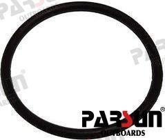 TÓRICA Parsun PAF4-04090009