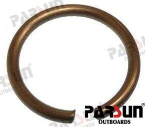 PLACA DE MUELLE Parsun PAF4-04130007